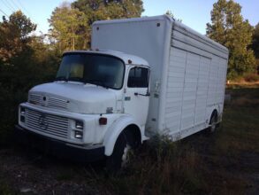 Mercedes-Benz L1319 VIN Decoder